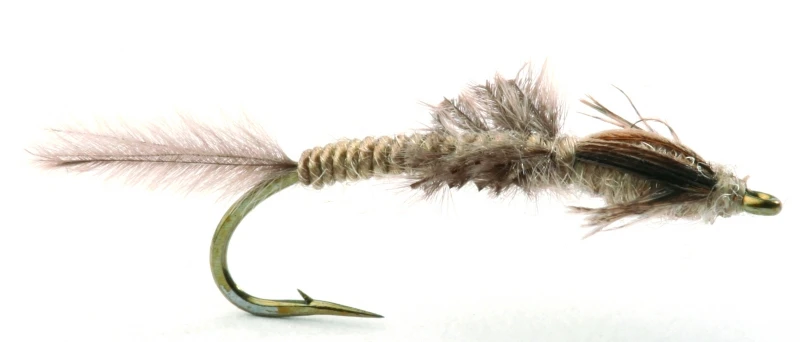 Vulgata Nymfe - 8 1 Vulgata Nymfe - 8