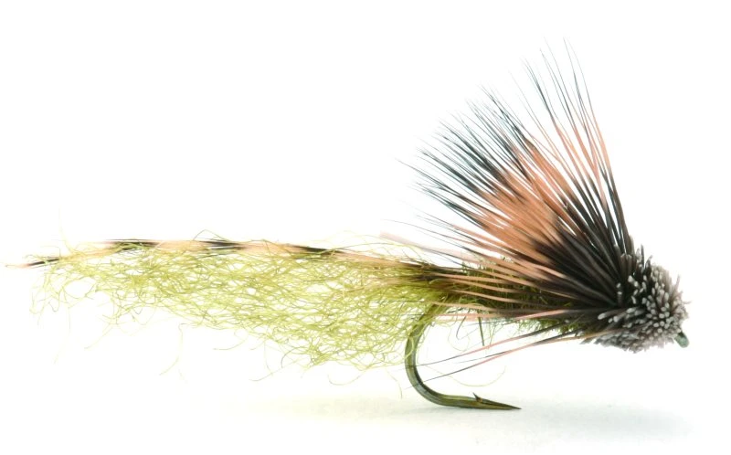 Bs Grandisklekker - 8 1 Bs Grandisklekker - 8