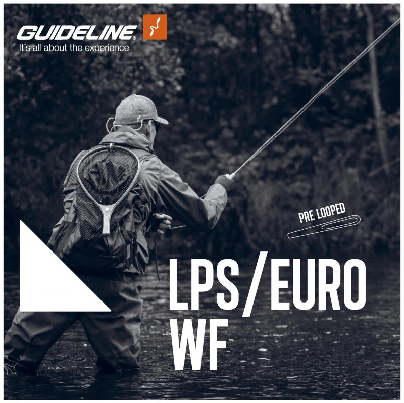 Guideline LPS Euro 2 Guideline LPS Euro - Image 2