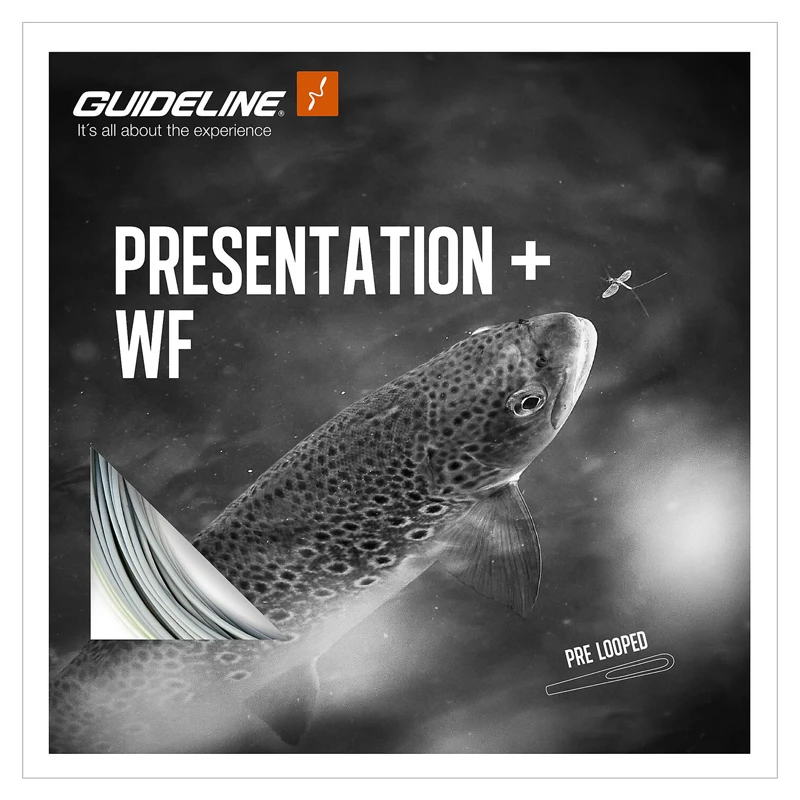 Guideline Presentation+ WF 1 Guideline Presentation+ WF