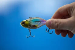 Berkley DEX Ripper -Kalastustarvikekauppa 1572667r 5