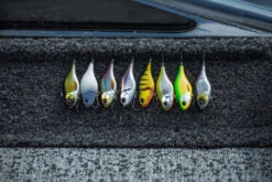 Berkley DEX Ripper -Kalastustarvikekauppa 1572667r 6