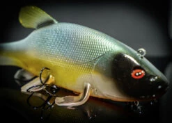 Quantum Freak Of Nature Swimbait Tench 23cm, 270g -Kalastustarvikekauppa 22 3272005r 5