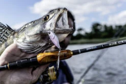 Quantum 4Street Spin-Jig 14g -Kalastustarvikekauppa 22 3494304r 3