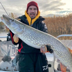 Daiwa PX Lazy Shad -Kalastustarvikekauppa 32 217472r 3