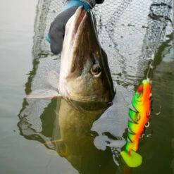 Daiwa PX Lazy Shad -Kalastustarvikekauppa 32 217472r 5