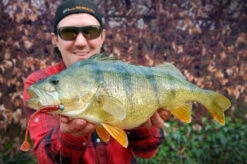 High5Lures Drop9 (6pcs) -Kalastustarvikekauppa DRP9101r 4